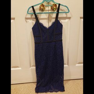 Express Dress with Sheer Lace Overlay